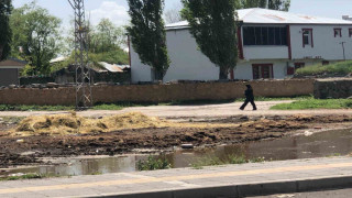 Kars’ta yol kenarına dökülen gübreler insan sağlığını olumsuz etkiliyor