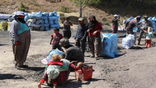 Mangal kömürü üretmek için gece gündüz mesai yapıyorlar