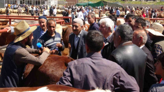 Van’da kurban pazarlarında sıkı pazarlıklar başladı