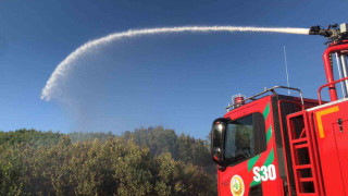 Bingöl’de çıkan orman yangını büyümeden söndürüldü