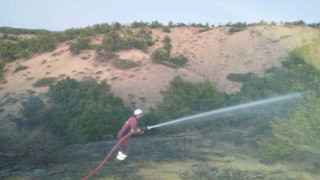 Bingöl’de orman yangını büyümeden söndürüldü