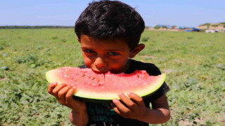 Bunaltıcı sıcaklar sulu meyvelere yöneltti