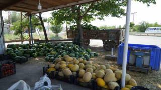 Doğu’nun Çukurova’sından çevre illere sebze ve meyve satılıyor