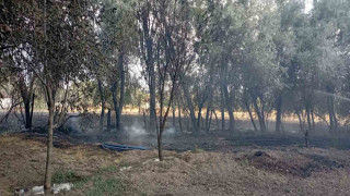 Elazığ’da bahçede korkutan yangın