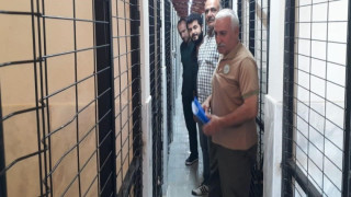 Elazığ’da Hayvan Bakımevinde denetim