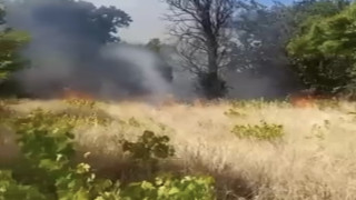 Elazığ’da örtü ve bahçe yangını