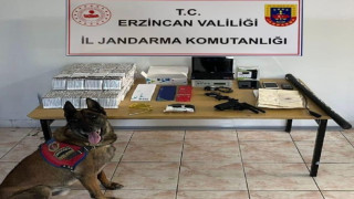 Erzincan jandarma suç olaylarına geçit vermiyor