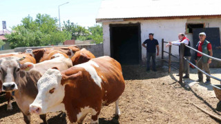 Erzincan Tarımdan küçük aile işletmelerine ziyaret