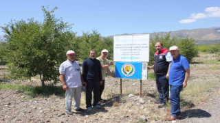 Erzincan’da bahçelere mavi bayrak