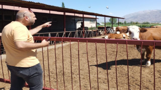 Erzincan’da hayvancılık işletmelerine sağlık taraması