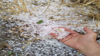 Erzincan’ın Tercan ilçesinde dolu etkili oldu