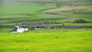 Erzurum mera ve çayır zengini