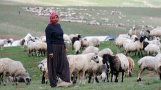 Erzurum’da 3 bin rakımda 3 yüz çadır kurulu