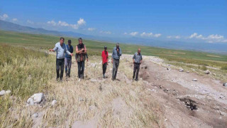 Kars’ta ekili araziler yağmurdan zarar gördü