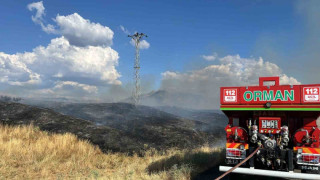 Kırsal alandaki yangın ormana sıçramadan söndürüldü