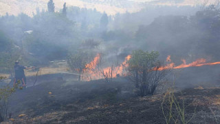 Malatya’da bahçelik alanda korkutan yangın