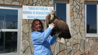 Prof. Dr. Aslan: “Çok sayıda zoonoz hastalık yaban hayvanlarından insana bulaşmaktadır”