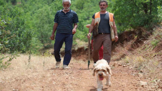 Şehir şehir gezerek köpeğiyle ‘kara elmas’ arıyor