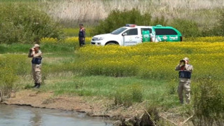 Van’da 58 ton ölü inci kefali ele geçirildi, toplam 2,3 milyon lira ceza uygulandı