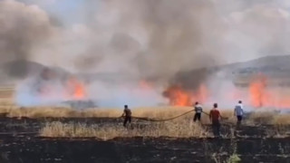 Van’da tarım arazisinde yangın