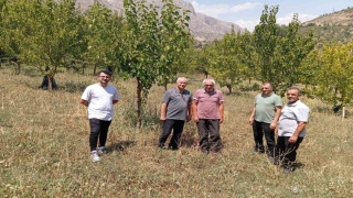 74 yaşındaki Kemaliyeli öğretmen 19 bin ağacı toprakla buluşturdu