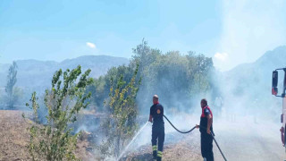 Ağaçlık alanda çıkan yangın itfaiye ekiplerinin müdahalesiyle söndürüldü