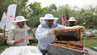 Ağrı’nın tescilli Geven Balından 400 ton verim hedefleniyor