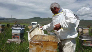 Ardahan’da coğrafi işaretli bal hasadı başladı; 450 ton bal üretimi bekleniyor