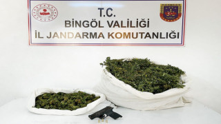 Bingöl’de 12 kilo esrar ele geçirildi: 1 gözaltı