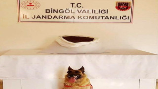 Bingöl’de 15 kilo uyuşturucu madde ele geçirildi