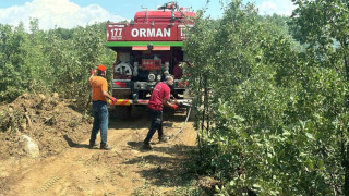 Bingöl’deki orman yangını erken müdahaleyle büyümeden söndürüldü