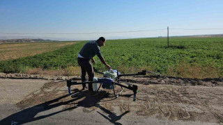 Çiftçiler kurtlanan fasulyeleri için dronla ilaçlama yapıyor