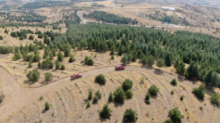 Elazığ’da orman ekipleri, havadan ve karadan denetimlerini sürdürüyor