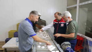 Erzincan’da tam otomatik tesislerde üretilen yumurtalar tarıma değer katıyor