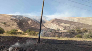 Hakkari’de makilik alanda yangın