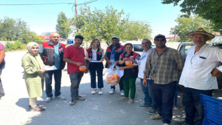 Iğdır’da Akdeniz meyve sineği ile mücadele devam ediyor