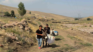 Iğdırlı çocukların eşekle su taşıma çilesi