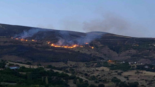 İtfaiye erleri yangından kurtardığı kaplumbağaya su verdi