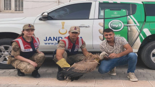 Jandarmadan yaralı akbabaya şefkat eli