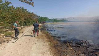 Malatya’da anız ve bahçe yangınları