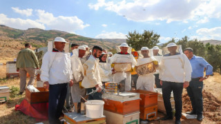 Muş’ta 600 ton bal hasadı bekleniyor