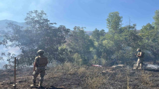 Tunceli’de çıkan örtü yangın söndürüldü