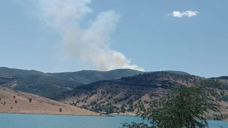 Tunceli’de orman yangını