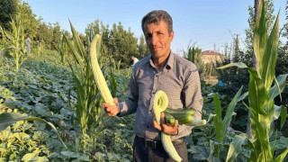 Yüksekova’da örnek çiftçi: A’dan Z’ye tüm ürünlere hayat verdi