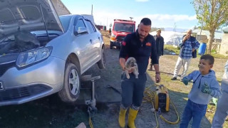 Ağrı’da araçta sıkışan yavru köpeği itfaiye ekibi kurtardı