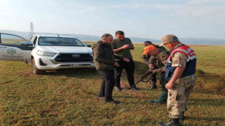 Ardahan’da DKMP ekipleri kontrollerini sıklaştırdı