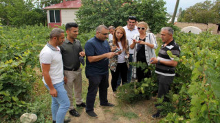 Başkan Süer: “Erciş üzümü kalitesini koruyor”