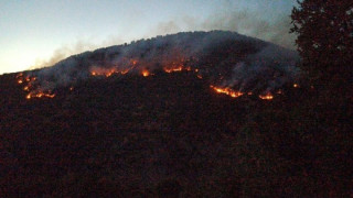 Bitlis’teki orman yangınları kontrol altına alındı