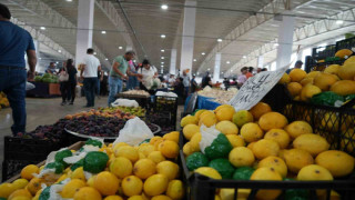 Çayın limonsuz içilmediği Erzincan’da limon fiyatı yüzleri güldürdü