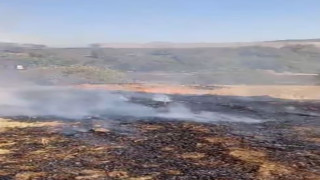 Elazığ’da otluk alanda yangın